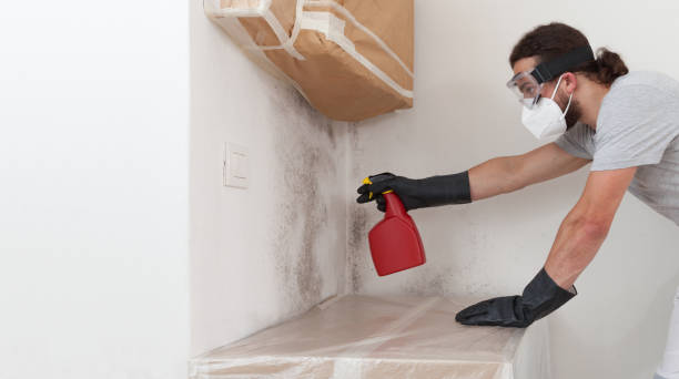 Professional Attic Mold Removal technician working in Alpine, NJ